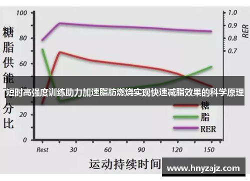 短时高强度训练助力加速脂肪燃烧实现快速减脂效果的科学原理