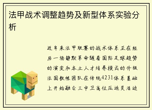 法甲战术调整趋势及新型体系实验分析